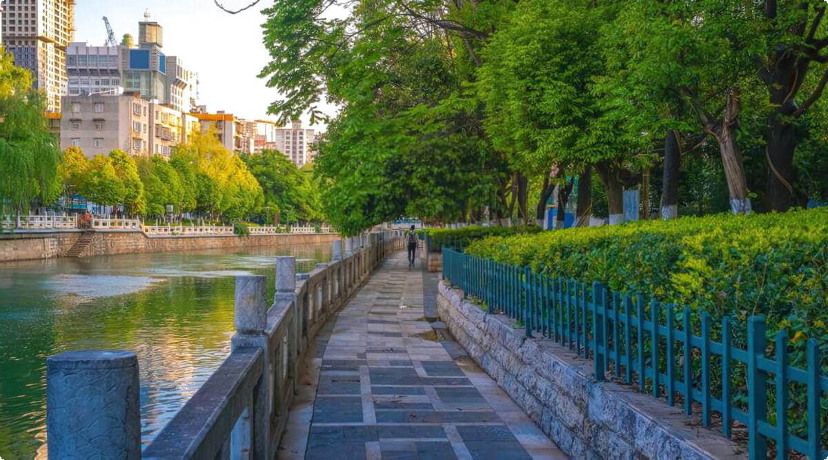 Nosso inventário inclui uma ampla variedade de veículos.